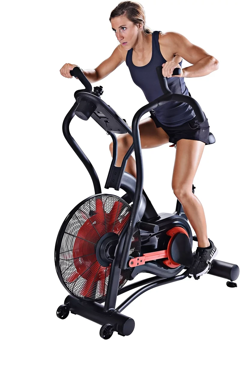 Stamina X Air Bike