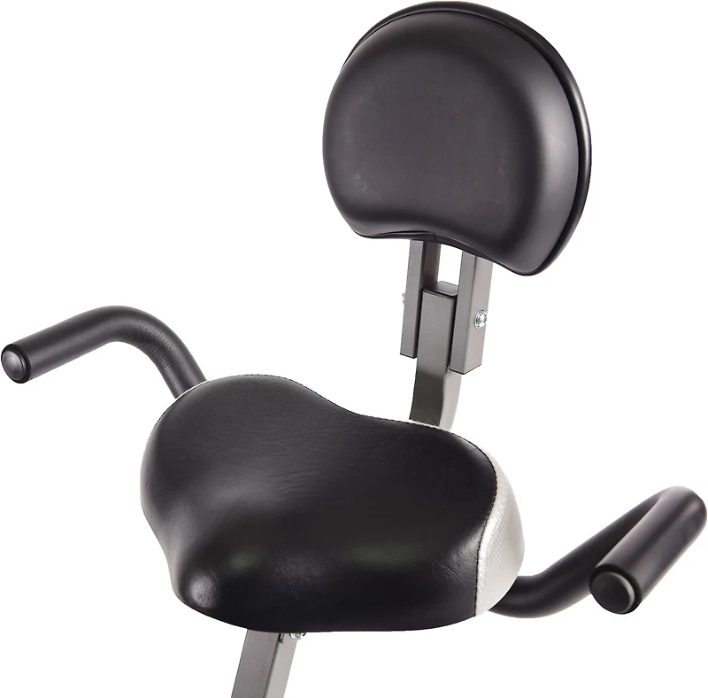 Stamina WIRK Ride Exercise Bike Workstation and Standing Desk