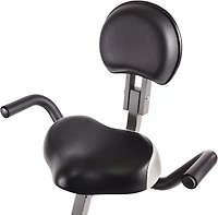 Stamina WIRK Ride Exercise Bike Workstation and Standing Desk