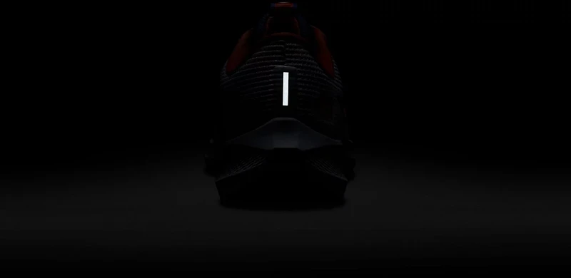 Nike Men's University of Florida Air Zoom Pegasus 40 Running Shoes