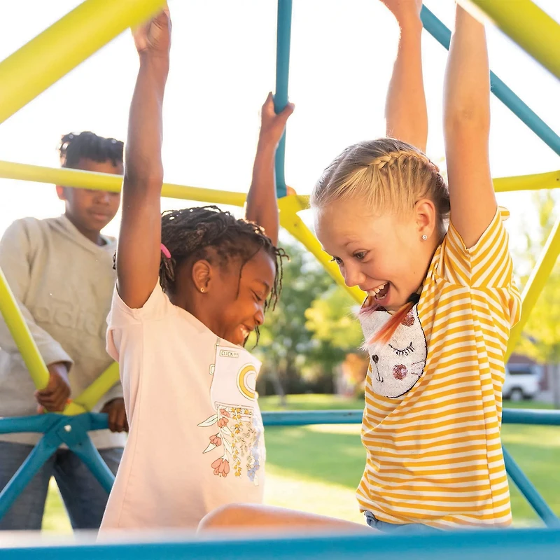 Lifetime Climbing Tower