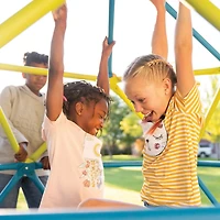 Lifetime Climbing Tower