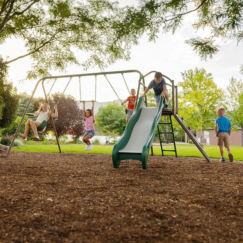 Lifetime Climb & Slide Playset