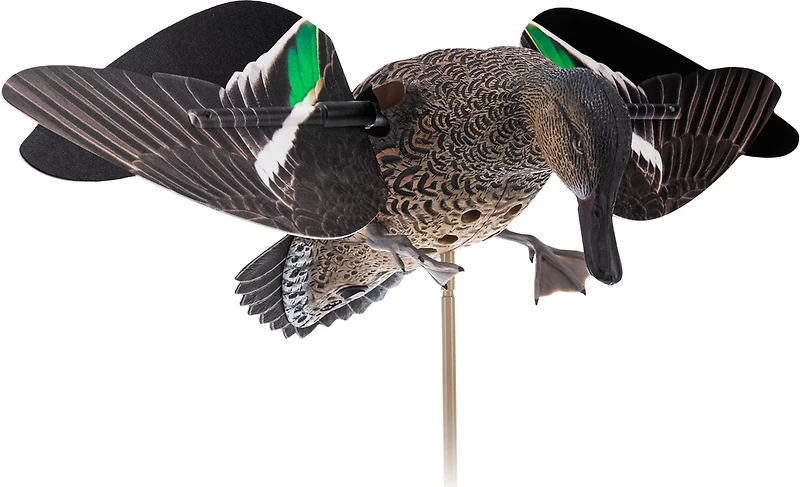 Avian-X Powerflight Hen Teal Decoy