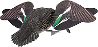 Avian-X Powerflight Hen Teal Decoy