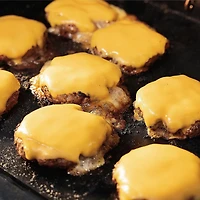 Masterbuilt Gravity Series 1050 Digital Charcoal Grill and Smoker Griddle Accessory Insert