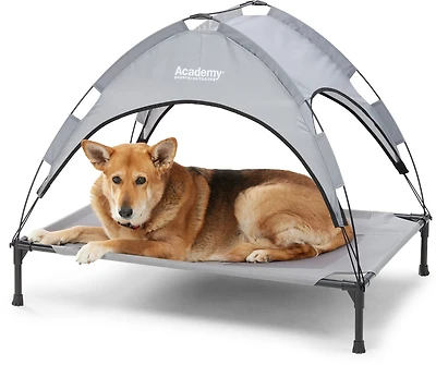 Academy Sports + Outdoors Elevated Canopy Dog Bed