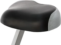 XTERRA FB160 Folding Stationary Bike