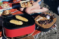 Cuisinart Portable Gas Grill