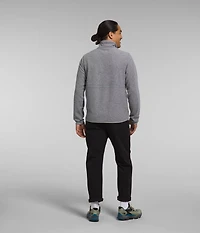 The North Face Men's Alpine Polartec 100 1/2 Zip Jacket