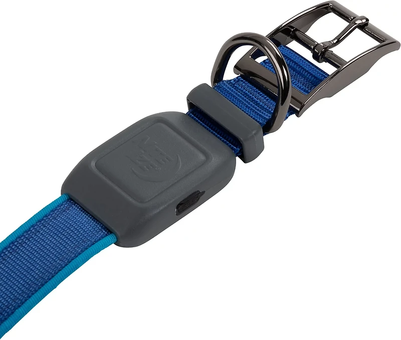 NiteDog Rechargeable LED Collar