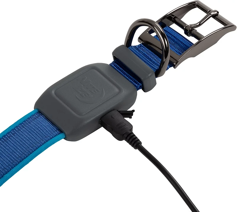 NiteDog Rechargeable LED Collar