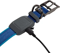 NiteDog Rechargeable LED Collar