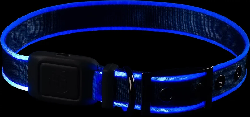 NiteDog Rechargeable LED Collar