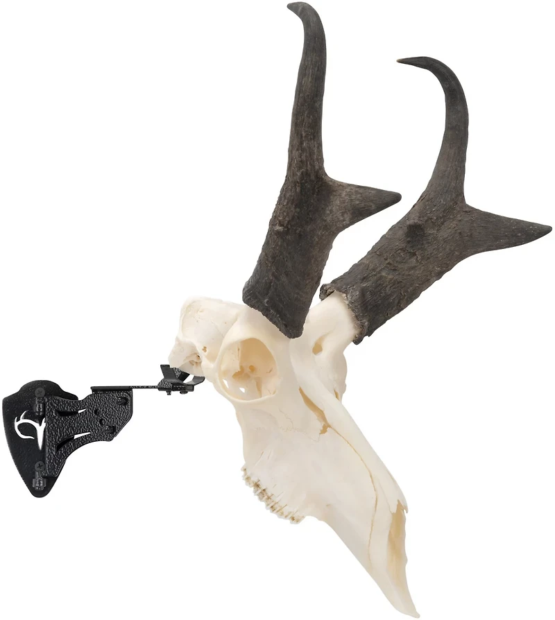 Allen Company EZ Mount Adjustable Steel Skull Stand