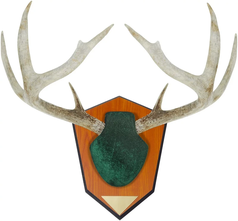 Allen Company Hunting Antler Mounting Kit