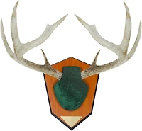 Allen Company Hunting Antler Mounting Kit