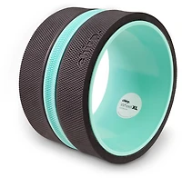 Chirp XL 10 in Wheel