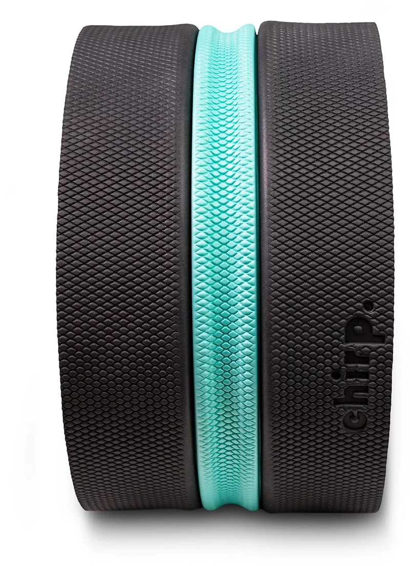 Chirp XL 10 in Wheel