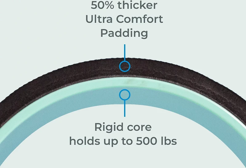 Chirp XL 10 in Wheel