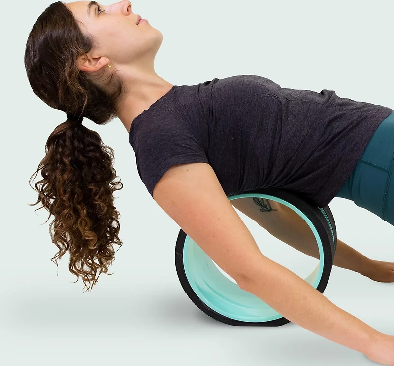 Chirp XL 10 in Wheel