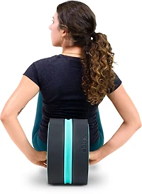 Chirp XL 10 in Wheel