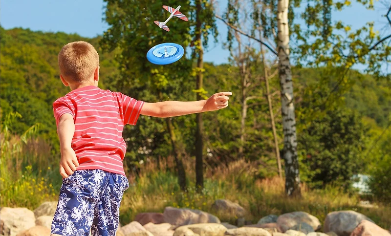 NSG Sky High Flyer Plane Disc