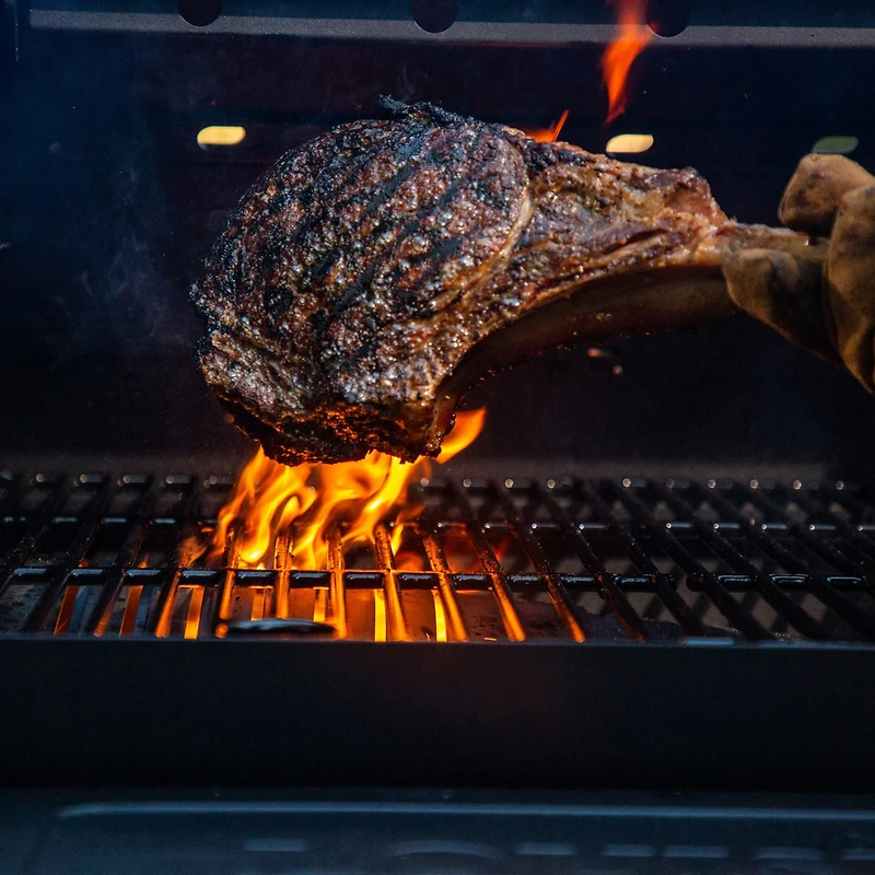 Louisiana Grills 1000 Black Label Pellet Grill