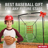 NetPlayz 7 ft x 7 ft Baseball Hitting/Pitching Net