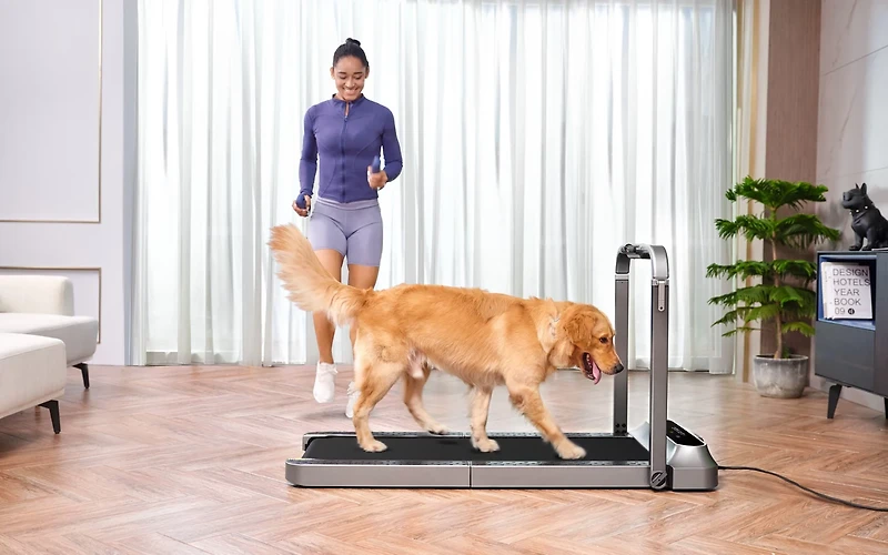 WalkingPad R2 Hybrid 2-in-1 Foldable Treadmill