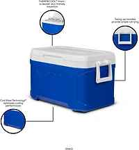 Igloo Academy Profile 50 Cooler