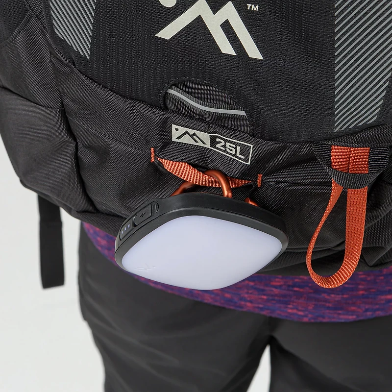 Ampex Cahill Excursion -Liter Framepack Backpack