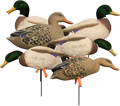 Higdon Outdoors Magnum Full Body Mallard Variety Pack Flocked Heads 6-Pack
