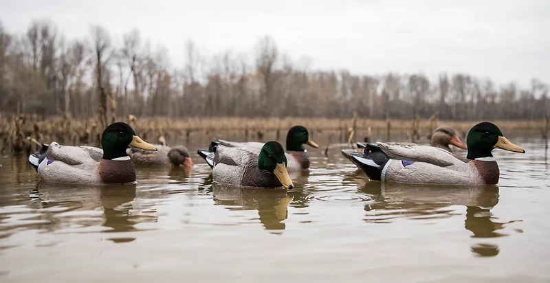 Higdon Outdoors Battleship Mallard Foam Filled Flocked Head 6-Pack