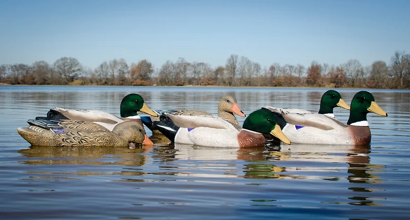 Higdon Outdoors Battleship Mallard Foam Filled Flocked Head 6-Pack