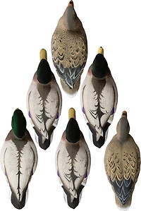 Higdon Outdoors Battleship Mallard Foam Filled Flocked Head 6-Pack