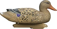 Higdon Outdoors Battleship Mallard Foam Filled Flocked Head 6-Pack