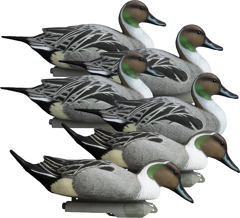 Higdon Battleship Pintail, Foam Filled, Drakes 6-Pack