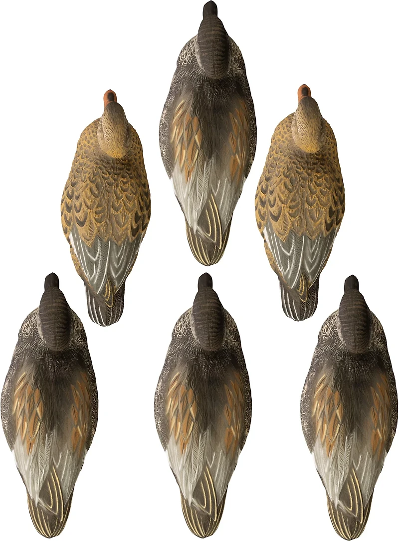Higdon Battleship Gadwall, Foam Filled 6-Pack