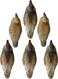 Higdon Battleship Gadwall, Foam Filled 6-Pack