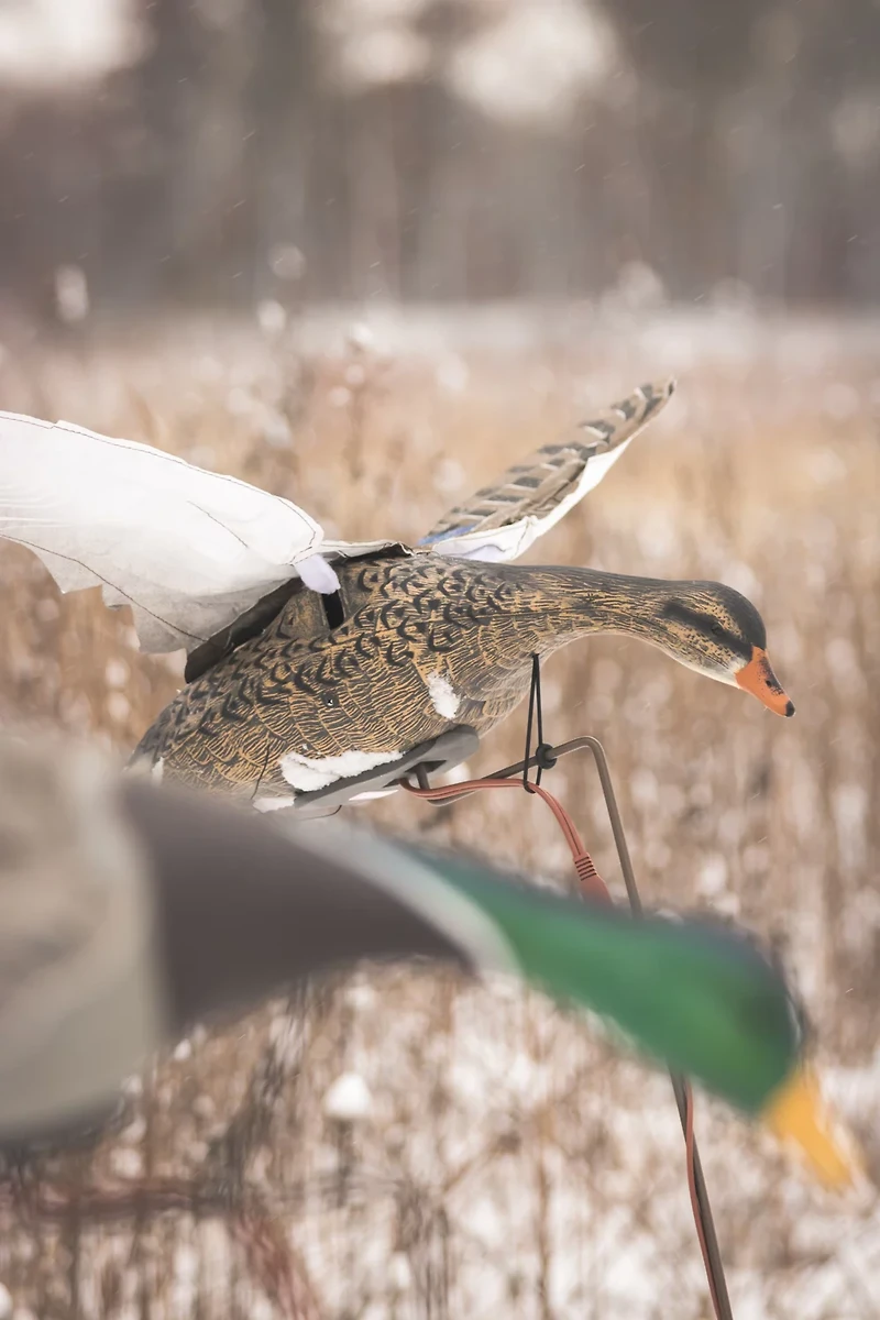 Higdon Clone Mallard Hen Decoy