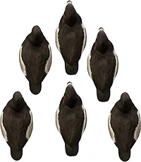 Higdon Battleship Ringneck, Foam Filled, Drakes 6-Pack