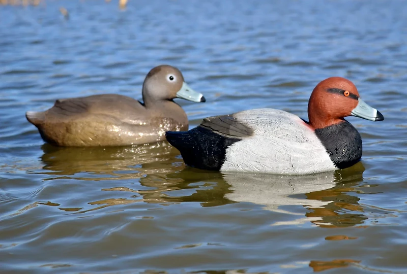 Higdon Battleship Red Head, Foam Filled 6-pack