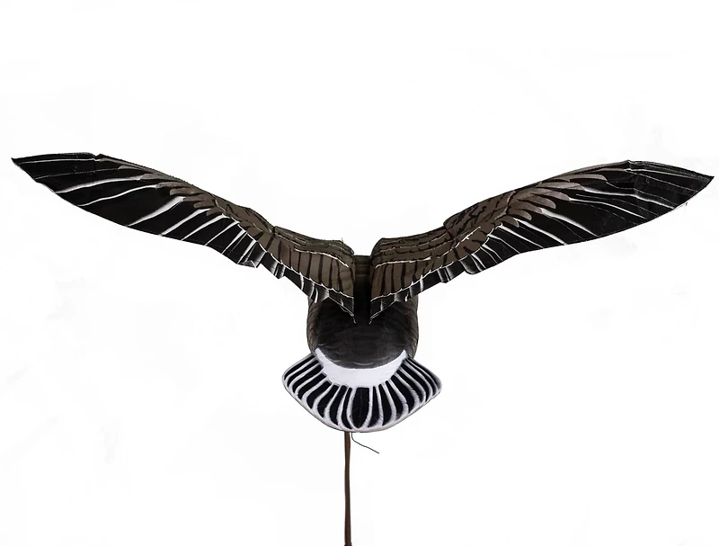 Higdon Clone Specklebelly Goose Decoy