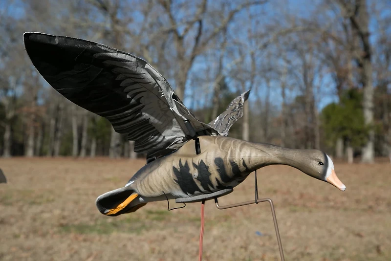 Higdon Clone Specklebelly Goose Decoy