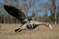 Higdon Clone Specklebelly Goose Decoy