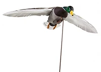 Higdon Clone Drake Mallard Decoy