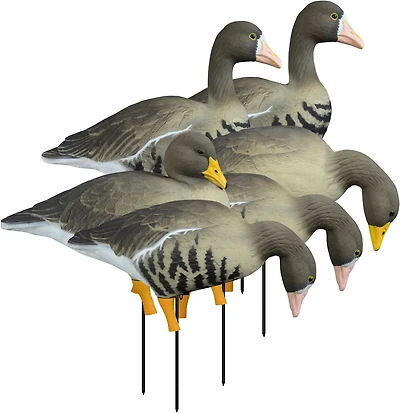 Higdon APEX Full Size Full Body Variety Pack, Specklebelly 6-Pack