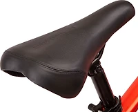 Schwinn Healy Ridge 24 E-Bike