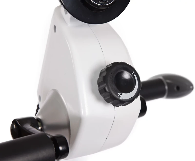 Stamina Recumbent Exercise Bike with Upper Body Exerciser